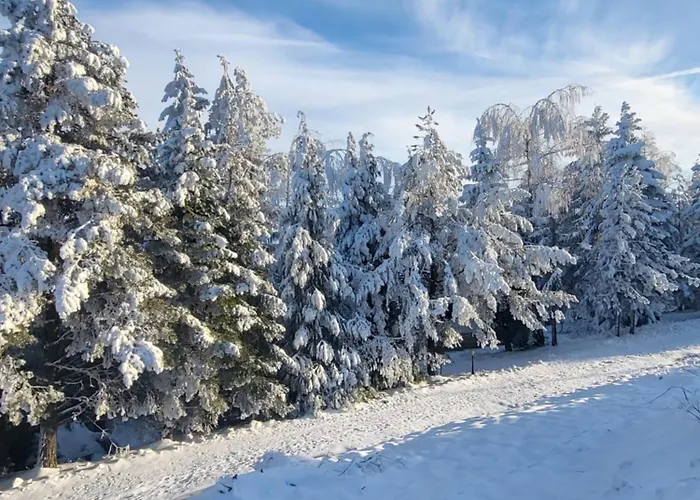 Appartamento Lovac Zlatibor